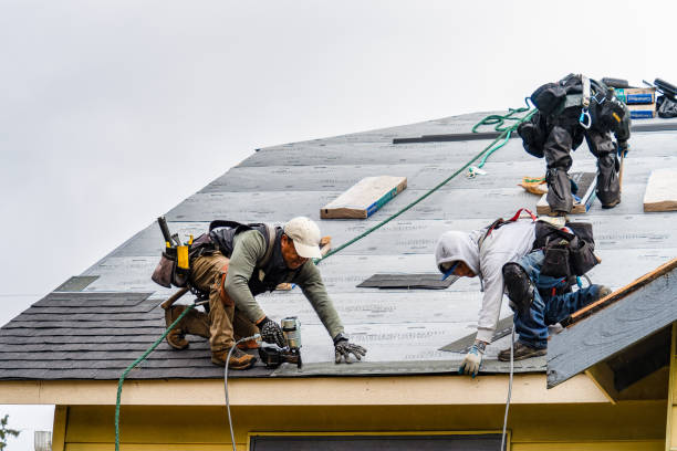 Professional Storm Damage Roof Repair technician working in Clio, IA