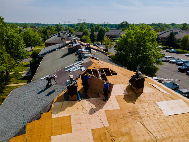 24/7 Emergency Storm Damage Roof Repair experts in Clio, IA